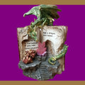 Dragon Spellbook Figurine – Fantasy Resin Ornament with Crystal Detail (Repairable)